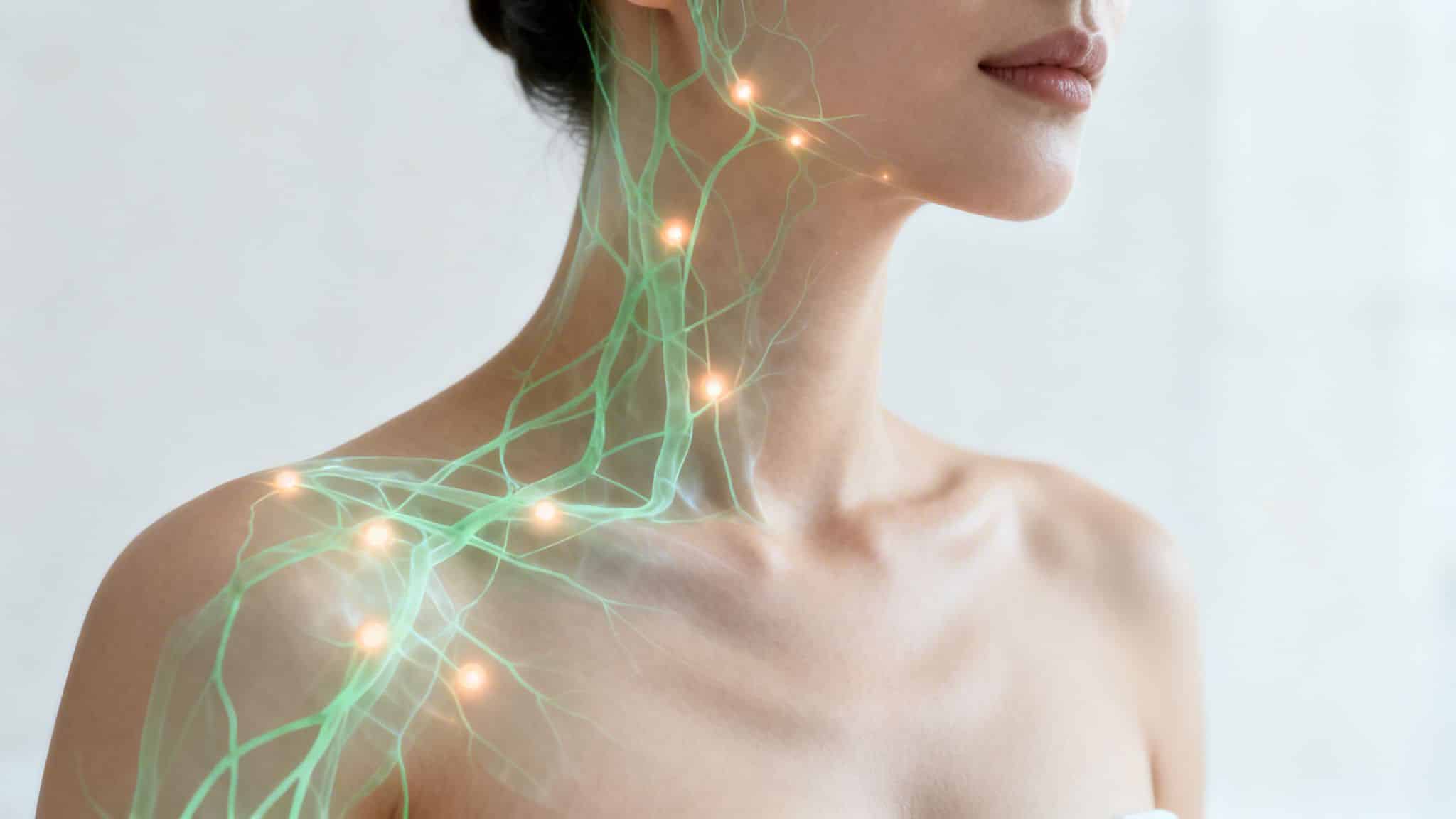 Image d'une femme montrant le système lymphatique vert et les ganglions lumineux sur le cou et l'épaule, symbolisant la santé.