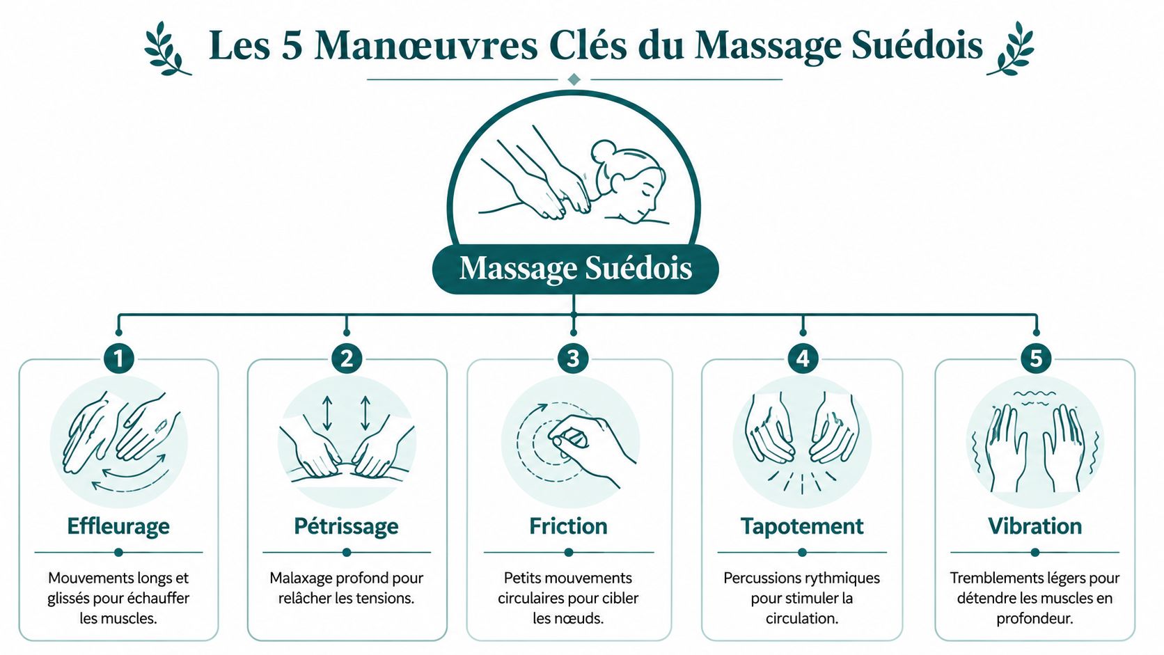 Une infographie détaillée illustrant les 5 manœuvres essentielles utilisées dans la pratique du massage suédois professionnel.