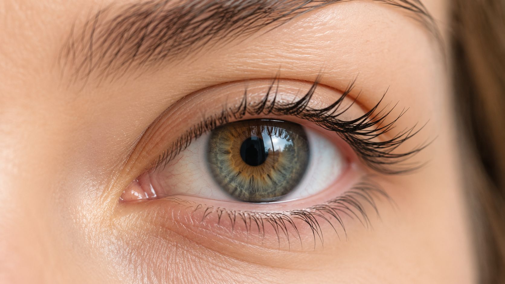 Gros plan sur un œil humain avec des cils longs, recourbés et définis après un rehaussement.