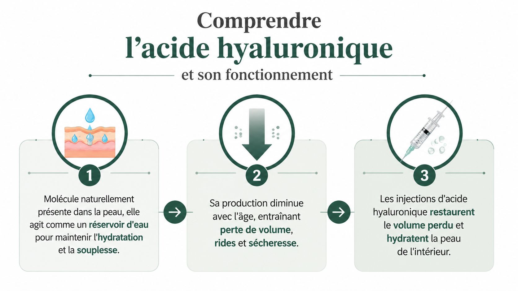 Infographie explicative sur le fonctionnement, la perte et les injections d'acide hyaluronique pour la peau.