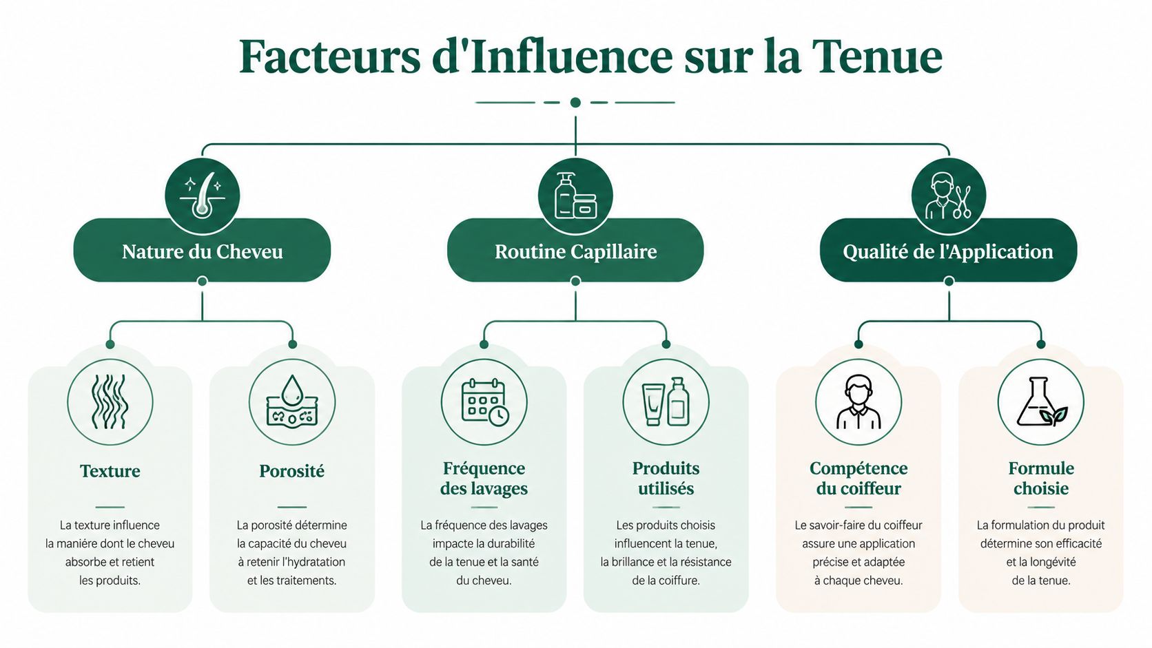 Schéma explicatif des facteurs influençant la tenue d'un traitement capillaire, incluant la nature, la routine et l'application.
