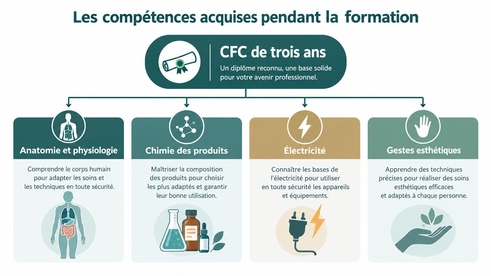 Infographie montrant les compétences acquises durant la formation CFC d'esthéticienne : anatomie, chimie, électricité et gestes esthétiques.
